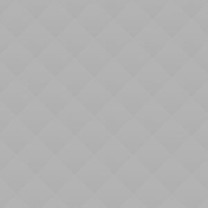 Where our Students does Celebrate this Summer’s Victory?